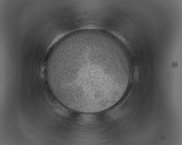 X0000090901258200708270936