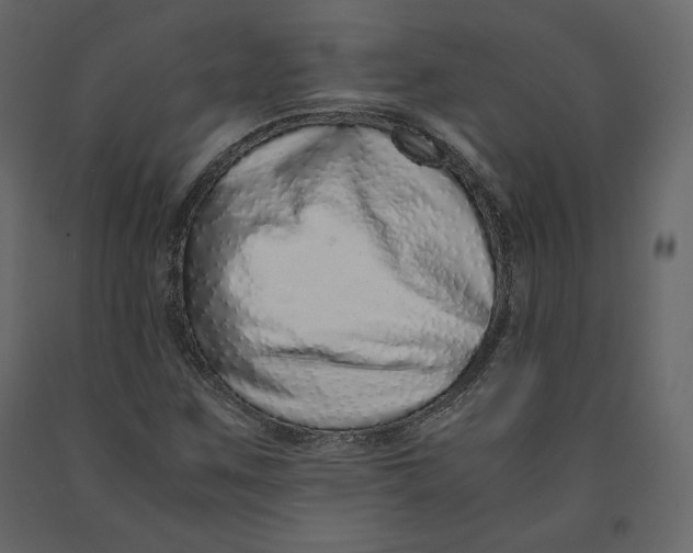 X0000090901259200708270936