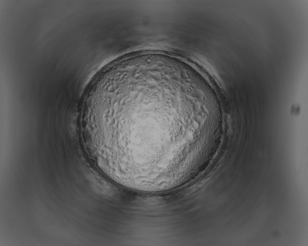 X0000090901260200708270936