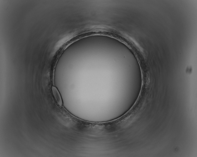 X0000090901261200708270936