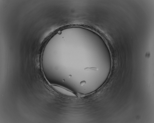 X0000090901262200708270936