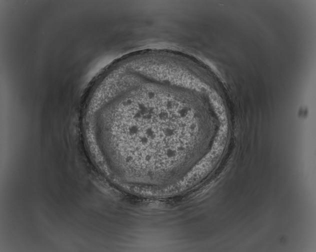 X0000090901263200708270936