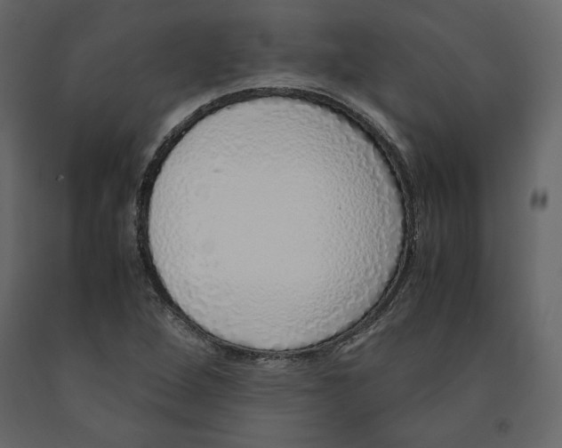 X0000090901264200708270936