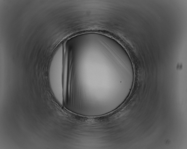 X0000090901265200708270936