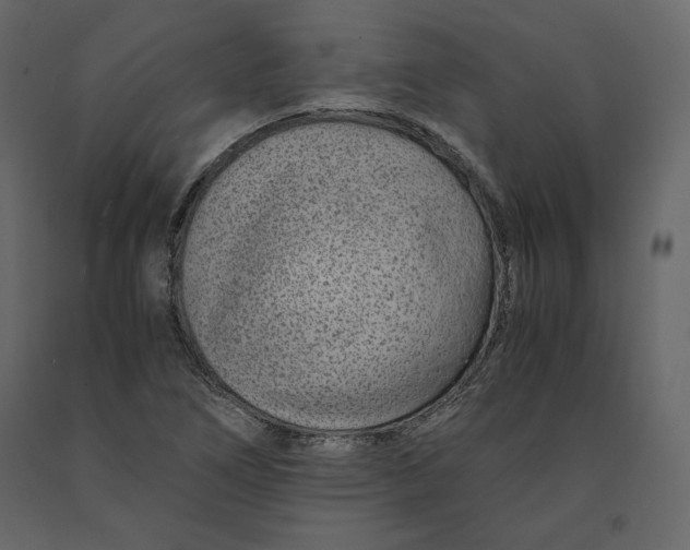 X0000090901266200708270936