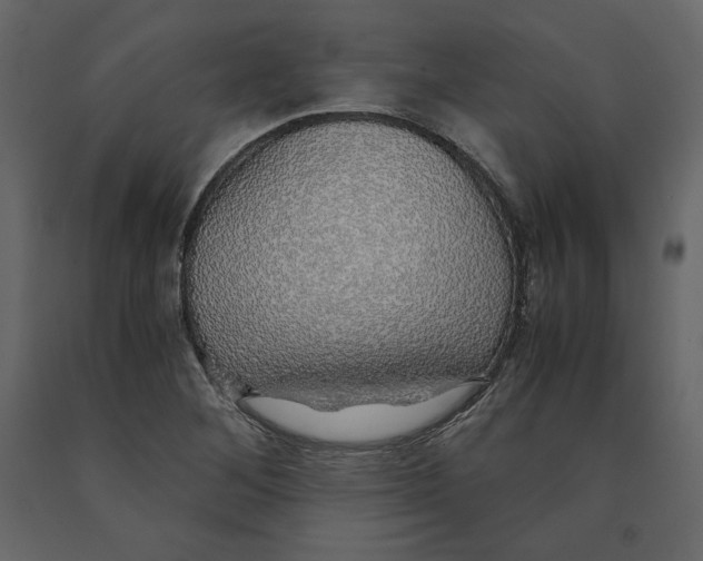 X0000090901268200708270936