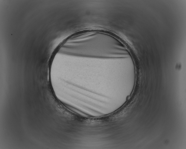 X0000090901269200708270936