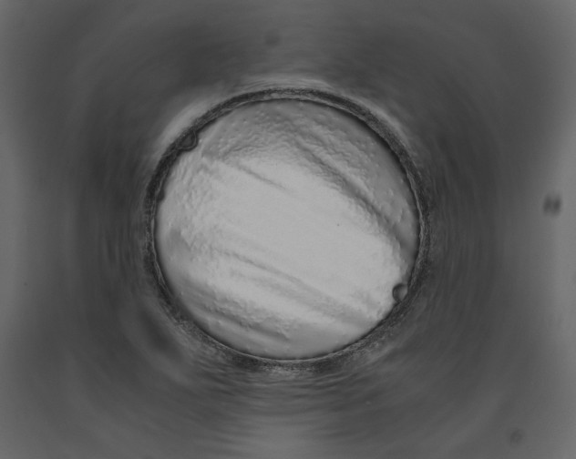 X0000090901271200708270936