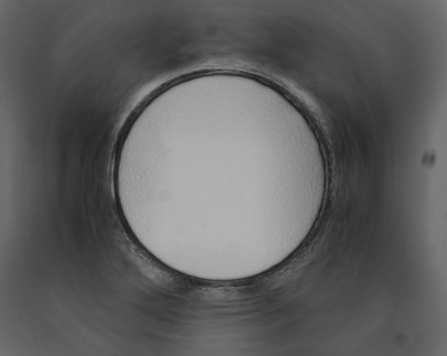 X0000090901272200708270936