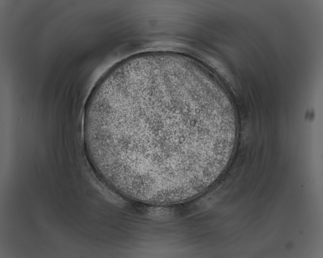 X0000090901275200708270936