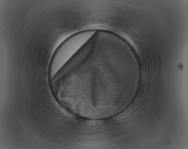 X0000090901277200708270936