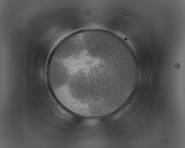 X0000090901278200708270936