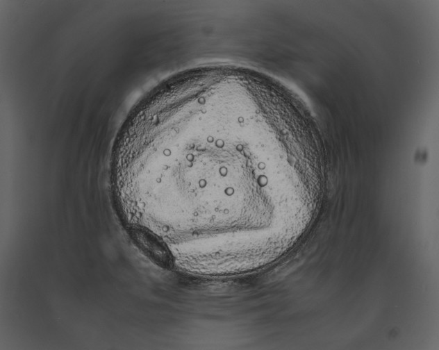 X0000090901279200708270936