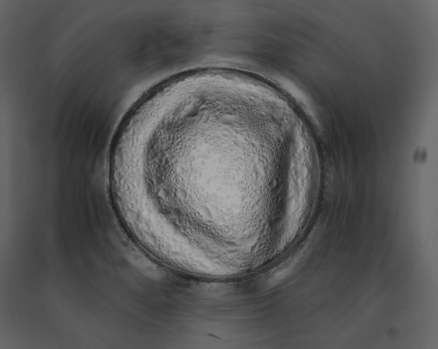 X0000090901280200708270936