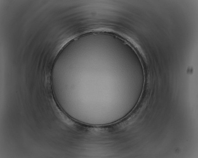 X0000090901281200708270936