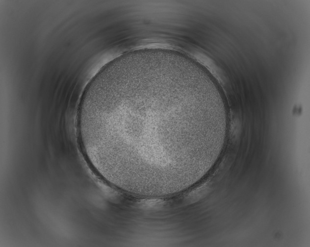 X0000090901282200708270936