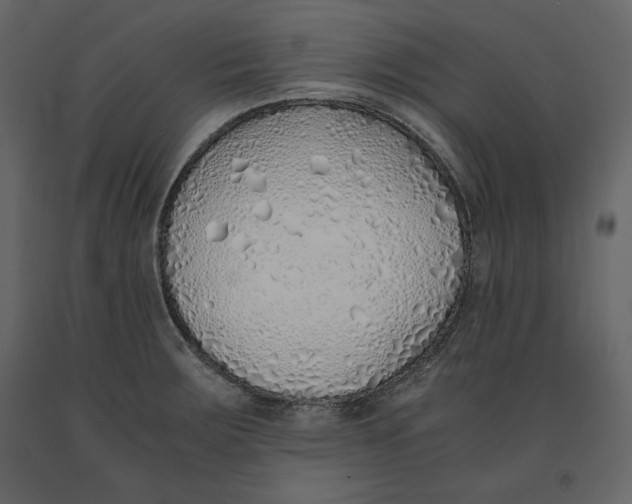 X0000090901283200708270936