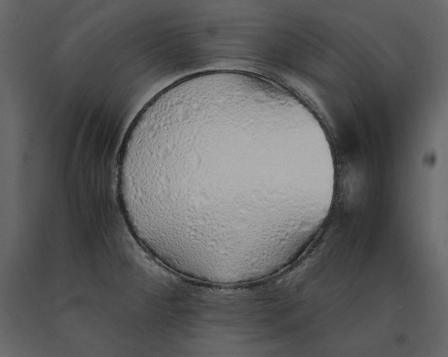 X0000090901284200708270936