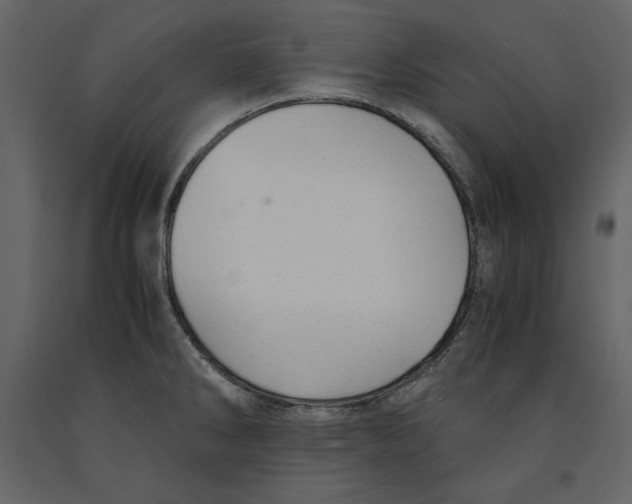 X0000090901286200708270936