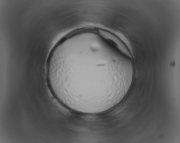 X0000090901287200708270936