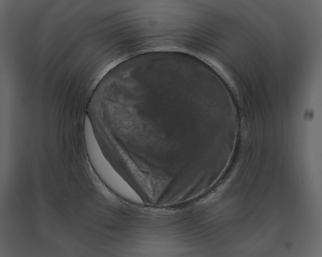 X0000090901289200708270936