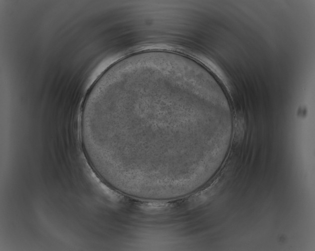 X0000090901290200708270936