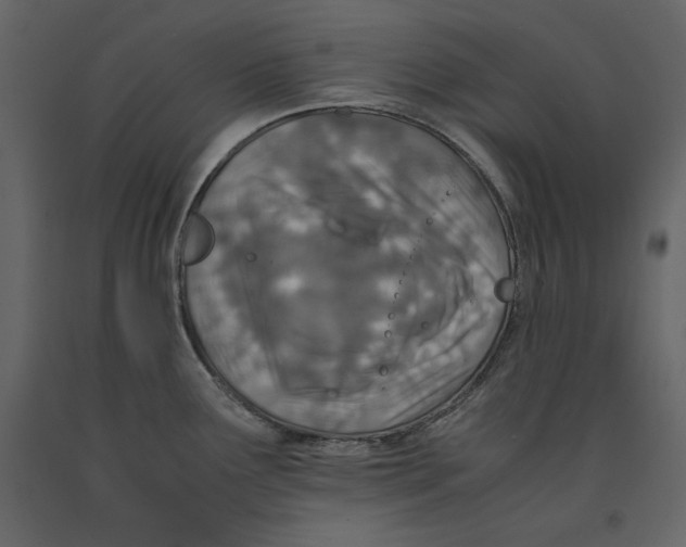 X0000090901291200708270936