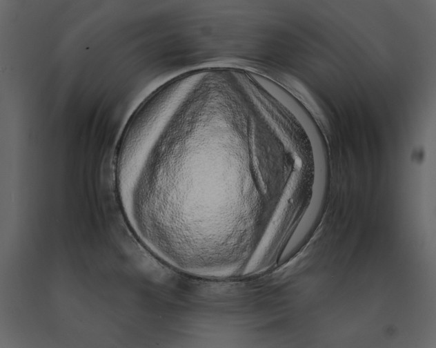 X0000090901292200708270936