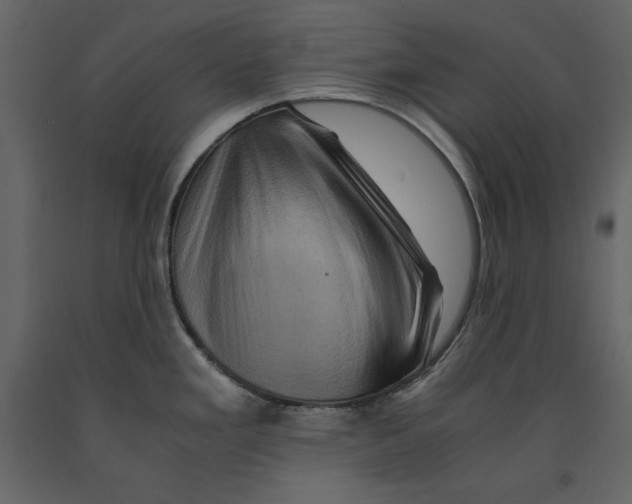 X0000090901293200708270936