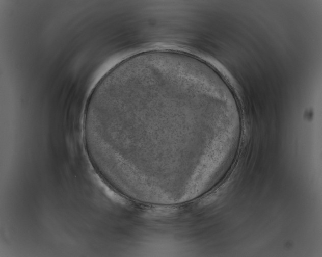 X0000090901294200708270936