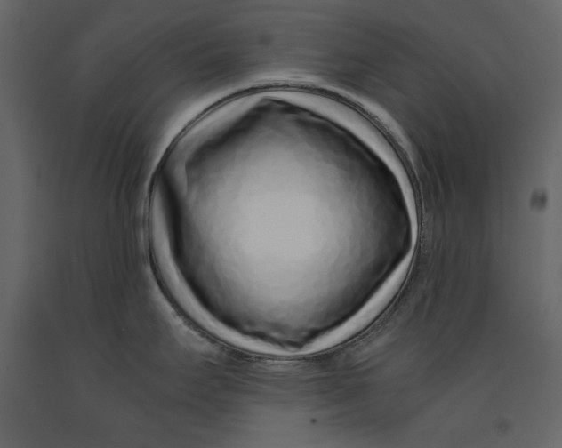 X0000090901295200708270936