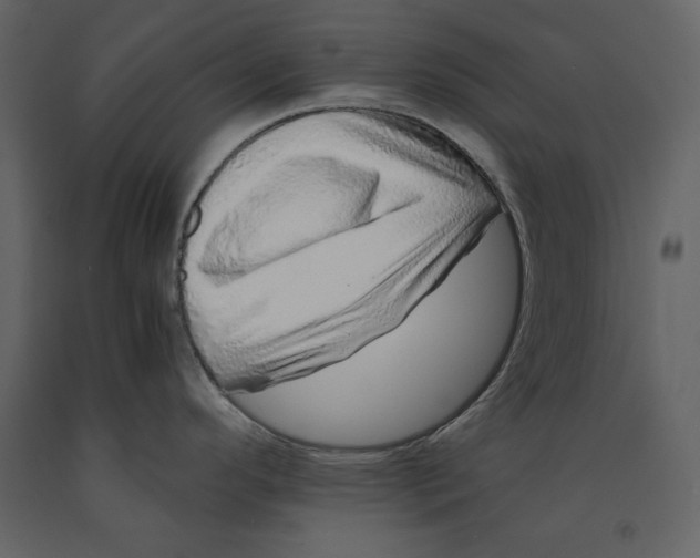 X0000090901296200708270936