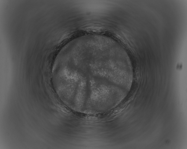 X0000090901297200708270935