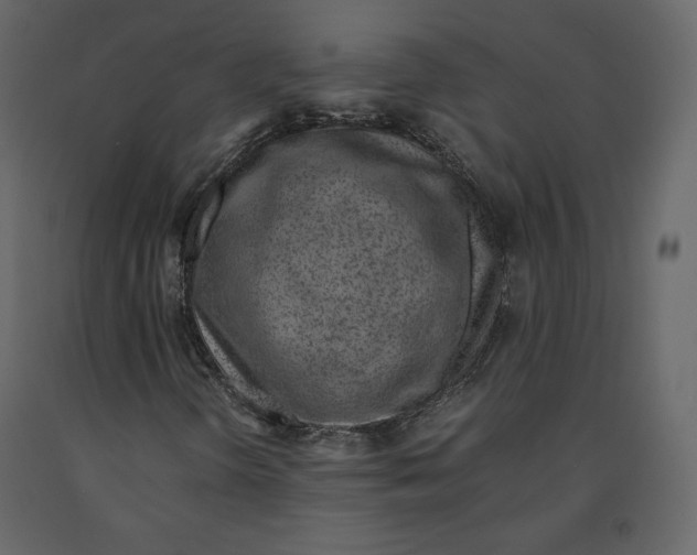 X0000090901298200708270935