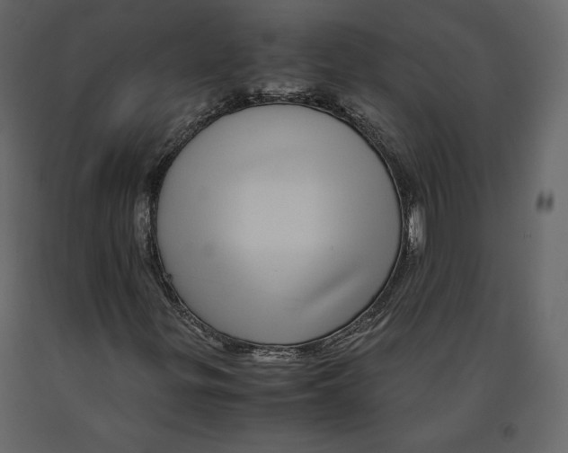 X0000090901299200708270935