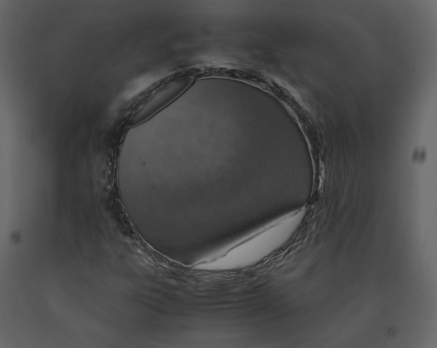 X0000090901303200708270935