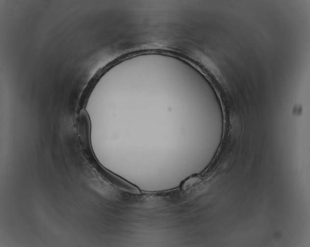 X0000090901308200708270935