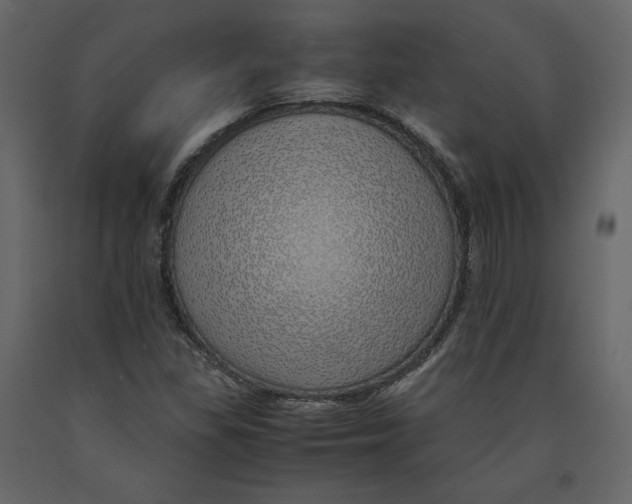 X0000090901309200708270935