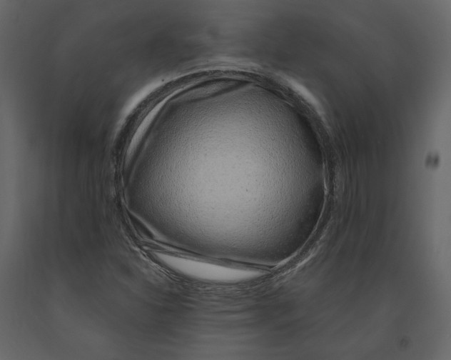 X0000090901310200708270935