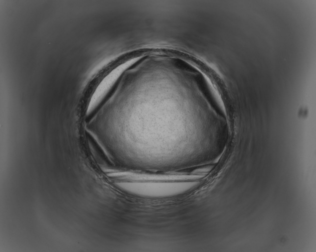 X0000090901311200708270935