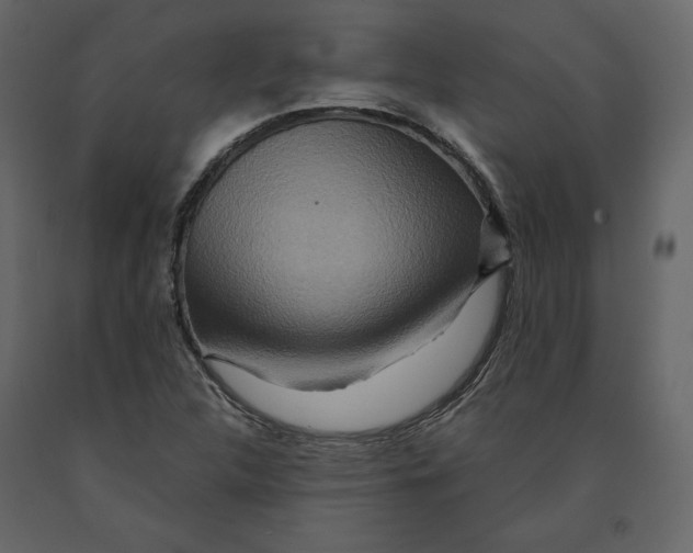 X0000090901312200708270935