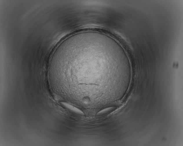 X0000090901313200708270935