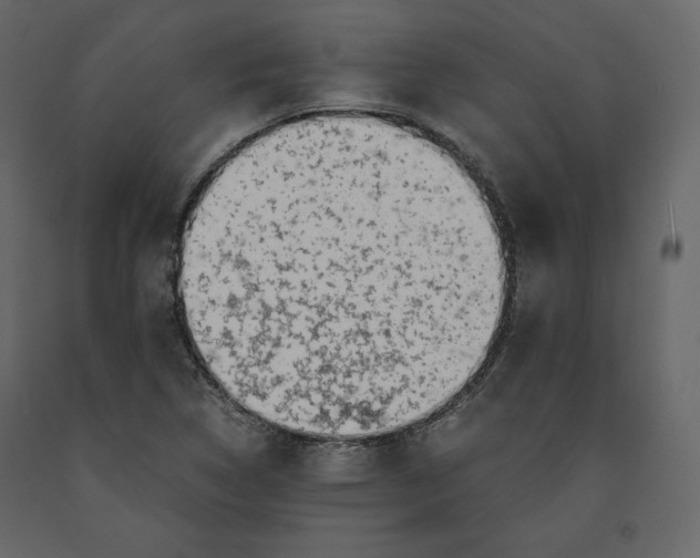 X0000090901314200708270935