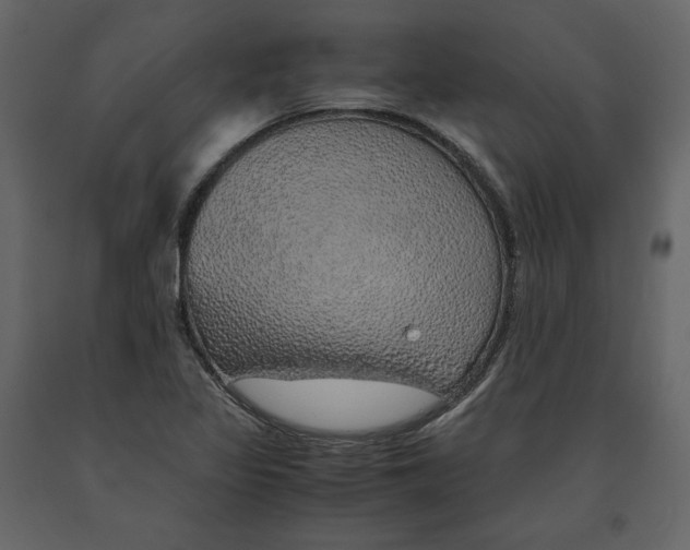 X0000090901317200708270935