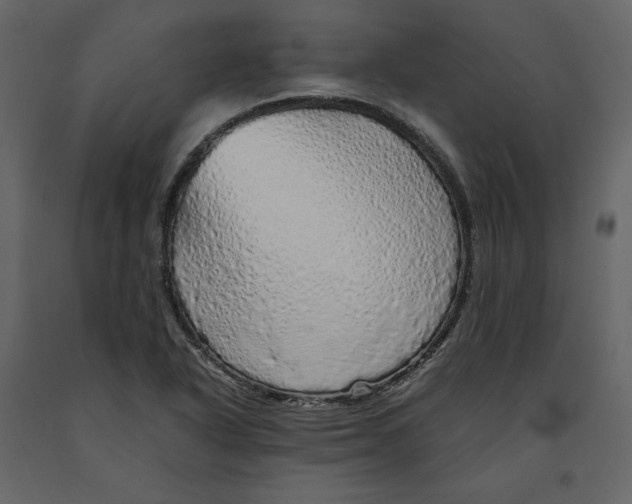 X0000090901318200708270935