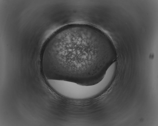 X0000090901319200708270936