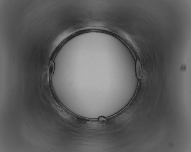 X0000090901320200708270936