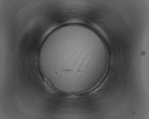 X0000090901321200708270936