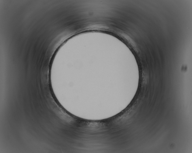 X0000090901322200708270936