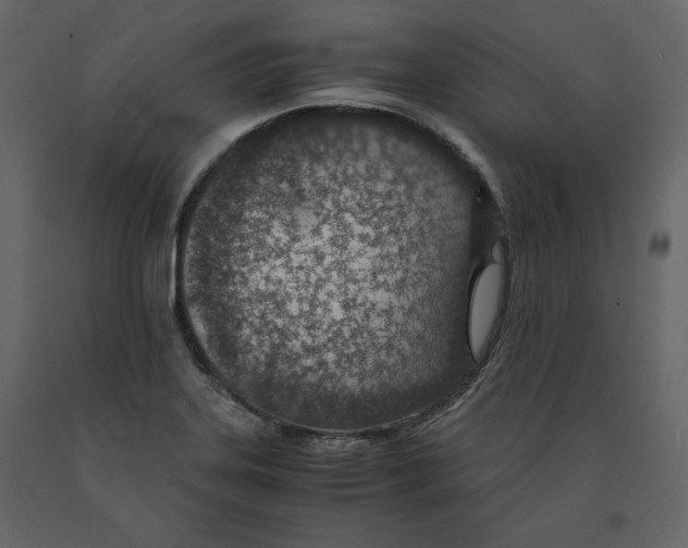 X0000090901323200708270936